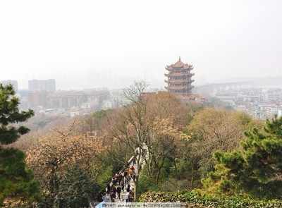 武汉黄鹤楼图片
