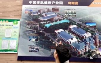 20个亿 带你揭秘蜜拓蜜私护益生菌背后厂家实力