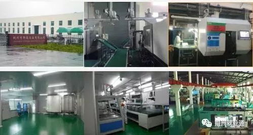 这些本地企业到底有多壕 恒隆曝光最新员工工资
