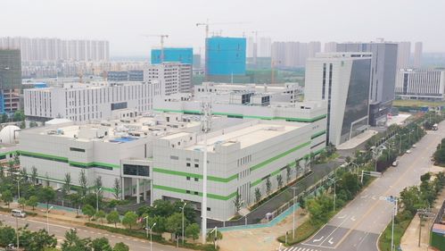 新闻动态