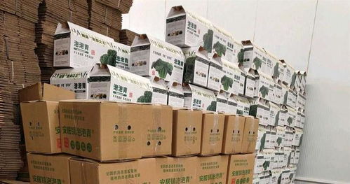 年货寄递进入高峰,湖北顺丰件量增幅超两成