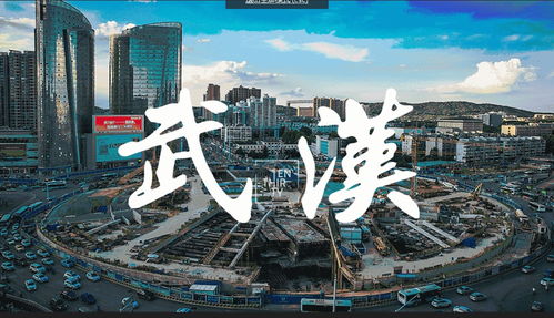 武汉最贵的二个小区,第一名均价7.5万,竟靠近市政协