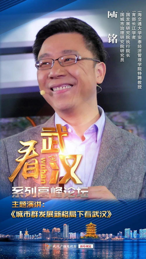 看武汉 陆铭 在城市群发展新格局下看武汉