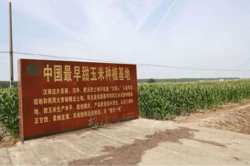 武汉地标农产品大盘点,蔡甸 东西湖 汉南分别有哪些