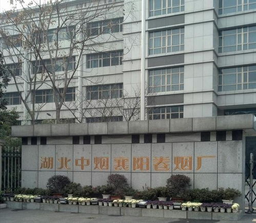 中央确定武汉特大城市,鄂北襄阳十堰随州丹江口为省会付出了什么