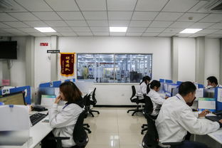 聚焦蔡甸中德产业园 探访武汉先进制造业集聚区