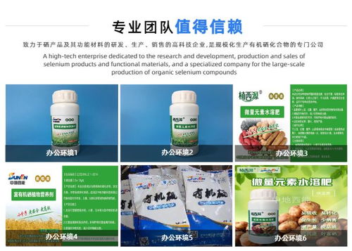 武汉中地西能 深耕湖北富硒食品加工，引领健康饮食新潮流